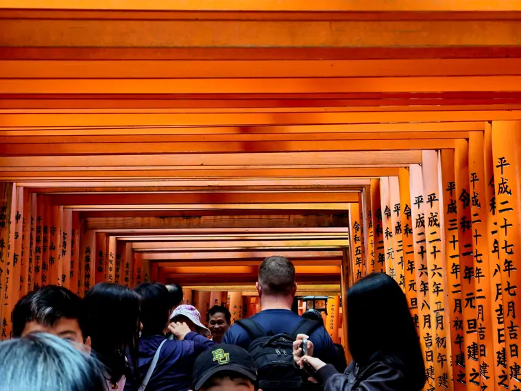Tunnel of orange torii gates